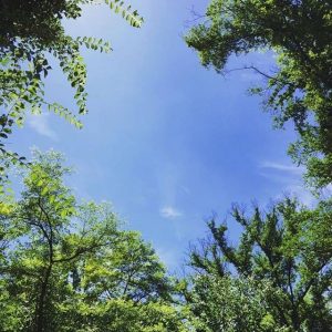 From Instagram ~Summer~
