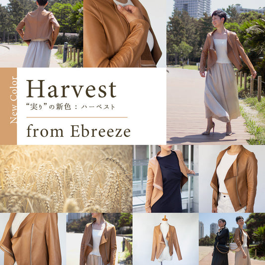 Ebreezeの新色Harvest発売！