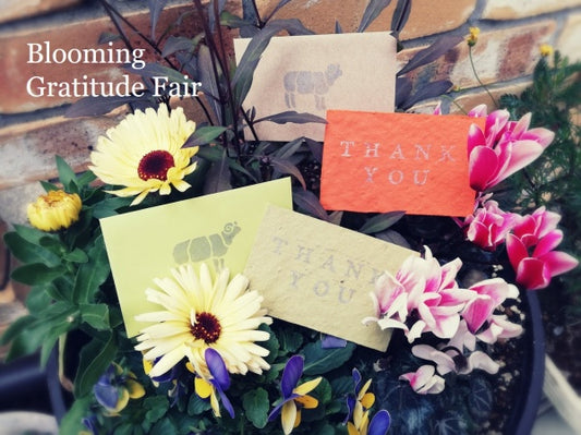 Blooming Gratitude —想いに花を咲かせて—